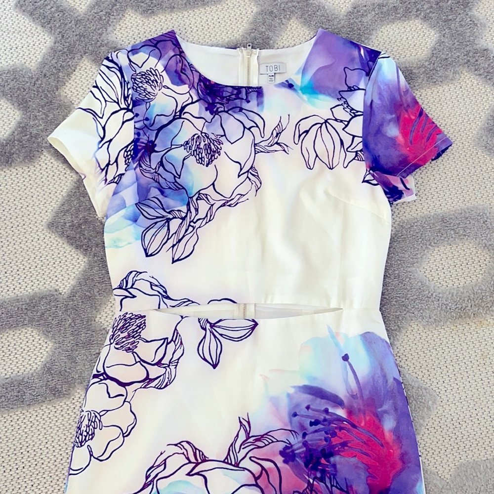 Tobi Spring Dress